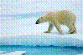 �������1.png