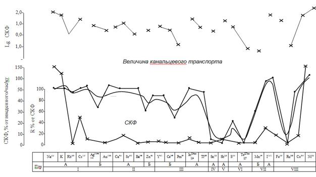 ��������: C:\Documents and Settings\��� ���������\������� ����\�; �; �-�-9\�������33.jpg