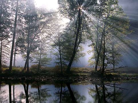 Копия%20(2)%20Лампа