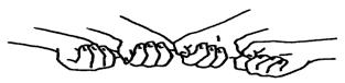 ris3