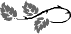 H:\Documents