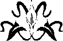 H:\Documents