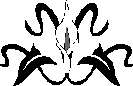 H:\Documents