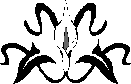 H:\Documents