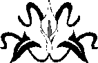 H:\Documents