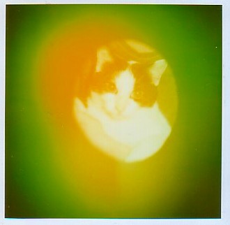 Aura Camera Imaging