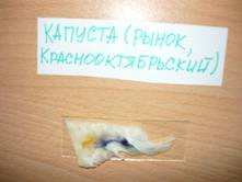 P1020137.JPG