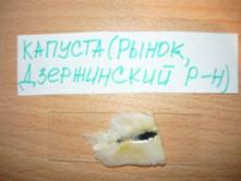 P1020135.JPG