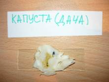 P1020139.JPG