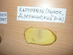 P1020144.JPG