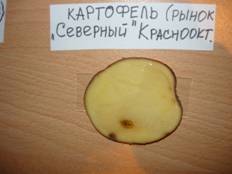 P1020145.JPG