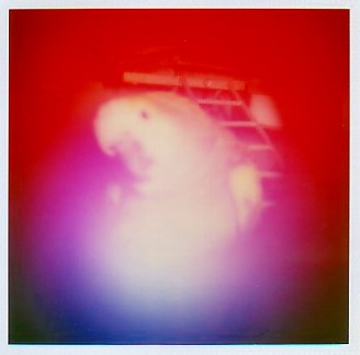 Aura Camera Imaging