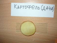P1020147.JPG