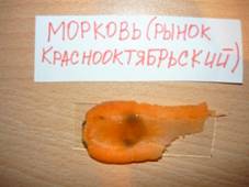P1020150.JPG