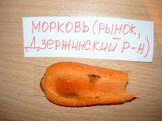 P1020149.JPG