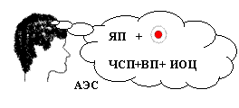 Выноска-облако: ЯП +
ЧСП+ВП+ ИОЦ