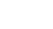 �������: ZnS