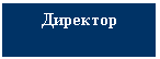 Подпись: Директор