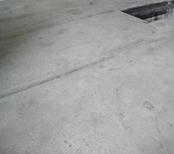 Z:\14. ���� �������\2010 ���\12. ������, ������ ������ 14 ���\�����\P1010187.JPG