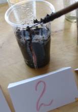 D:\117___10\IMG_3562.JPG