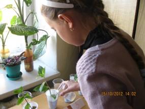 D:\117___10\IMG_3565.JPG