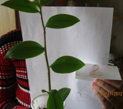 D:\118___11\IMG_3617.JPG