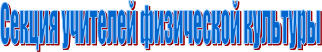 Секция учителей физической культуры