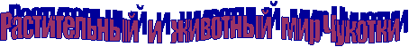 Растительный и животный мир Чукотки