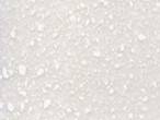 ��������: C:\Users\Asus\Desktop\���� �����\LXX202-Arctic.jpg