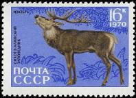 &Ocy;&lcy;&iecy;&ncy;&softcy; &icy;&zcy;&yucy;&bcy;&rcy;