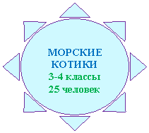 Солнце: МОРСКИЕ КОТИКИ
3-4 классы
25 человек