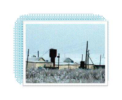 S6300059.JPG