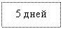 �������: 5 ����