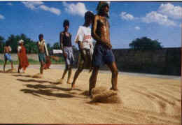 http://*****/articles/511639/img2.jpg