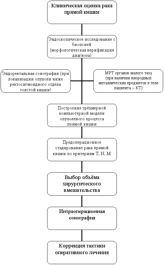 Организационная диаграмма