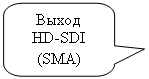 ����������� ������������� �������: �����

HD-SDI

(SMA)

