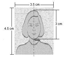 http://www.denmarkvac-ru.com/russian/images/samplecopy.gif