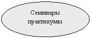 Овал: Семинары практикумы
