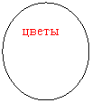 ����: �����