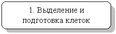 Скругленный