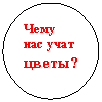 ����: ���� ��� ���� �����?