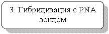 Скругленный