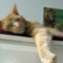 http://*****/alldat/users/8570/71photo.jpg