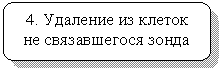 Скругленный