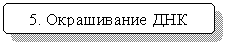 Скругленный