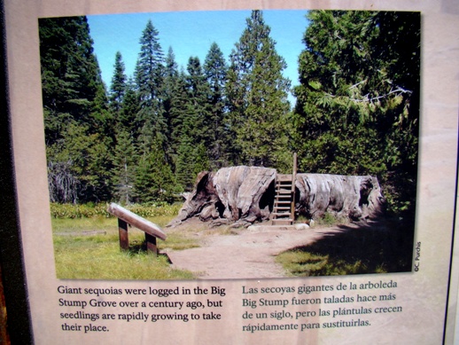 image008