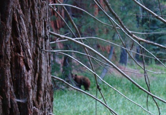 image050