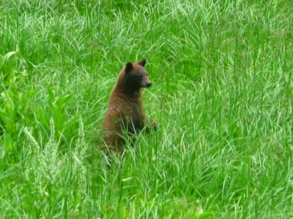 image052