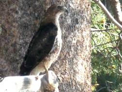 image065