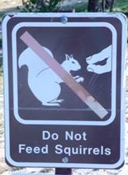 image069